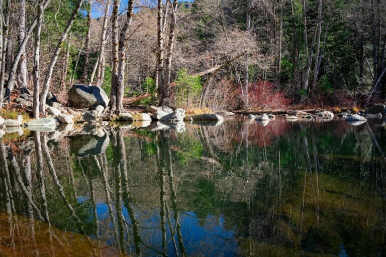 Deer Creek Tribute Trail Guided Hike