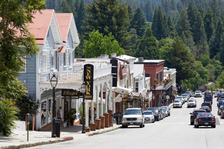 Nevada City Wine Walk